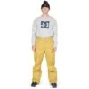 DC SHOES DC Banshee Pants - Men's