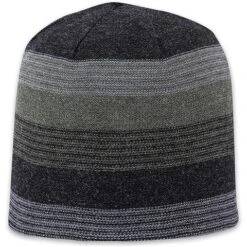 Pistil Chase Beanie - Men’s